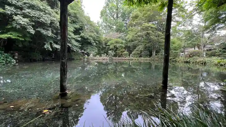 富士山本宮浅間大社の庭園