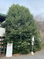 森友瀧尾神社(栃木県)