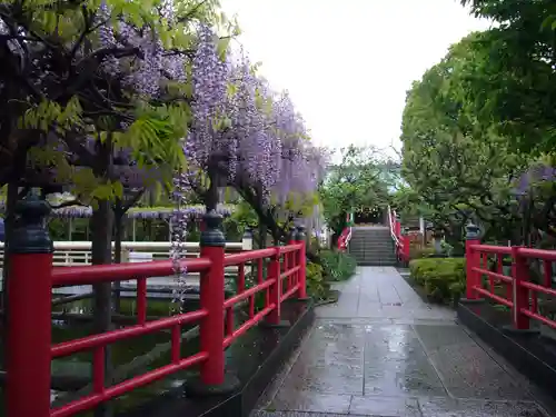 亀戸天神社の景色