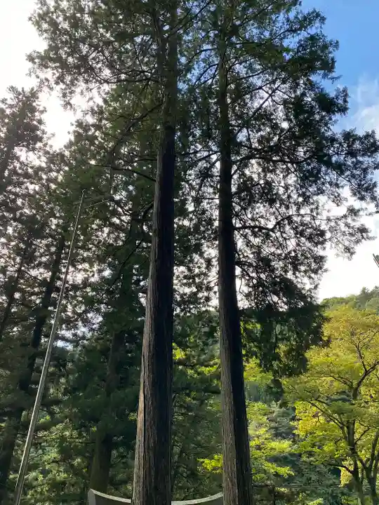 九頭龍神社(東京都)
