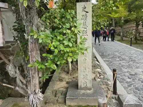 慈照寺（慈照禅寺・銀閣寺）(京都府)