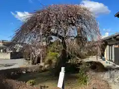 朝日森天満宮(栃木県)