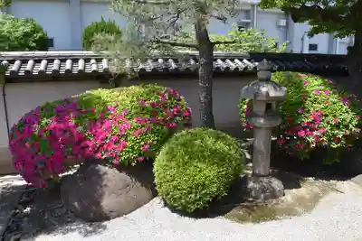 観智院（東寺子院）の庭園
