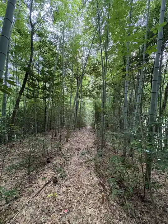 音崎神社の周辺