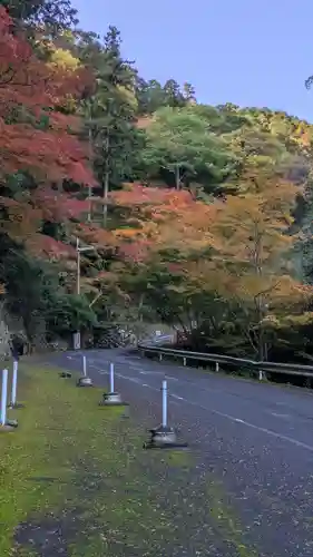 善峯寺(京都府)