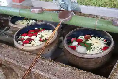 津島神社(愛知県)