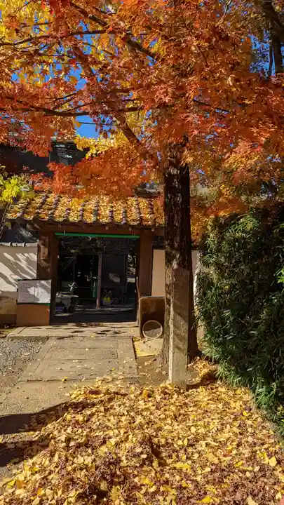 西雲院(京都府)