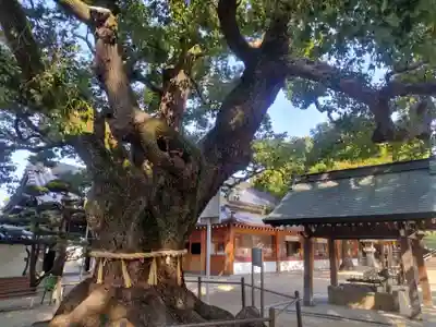 大聖観音寺（あびこ観音）(大阪府)