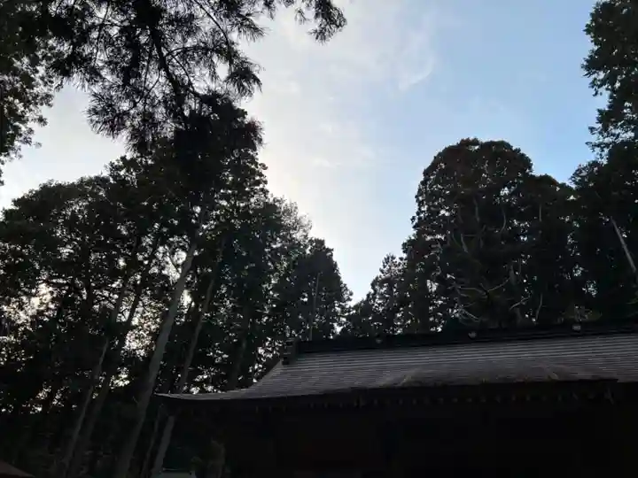 大宮温泉神社(栃木県)
