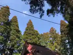 市野郷神社の建物その他