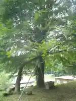 如来寺(愛知県)