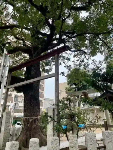 八幡神社の{uncategorized: "未分類", other: "その他", undefined: "問題あり", building: "その他建物", grave: "お墓", sacred_gate: "鳥居", guardian: "狛犬", statue: "像", buddha: "仏像", history: "歴史", nature: "自然", garden: "庭園", animal: "動物", pagoda: "塔", temizu: "手水舎", mountain_gate: "山門・神門", sanctuary: "本殿・本堂", subordinate: "末社・摂社", art: "芸術", scenery: "景色", jizo: "地蔵", ema: "絵馬", goshuin: "御朱印", omikuji: "おみくじ", items: "授与品その他", amulet: "お守り", goshuincho: "御朱印帳", eats: "食事", festival: "お祭り", votive_dance: "神楽", shichigosan: "七五三参", wedding: "結婚式", experience: "体験その他", initially: "初詣", around: "周辺", anti_infection: "感染症対策"}