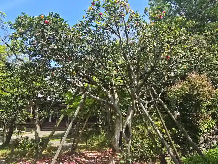 白毫寺(奈良県)