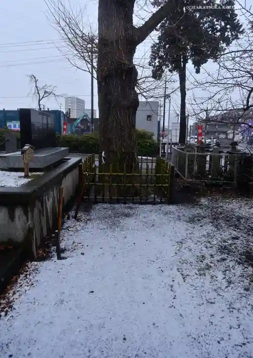 相模原氷川神社の自然