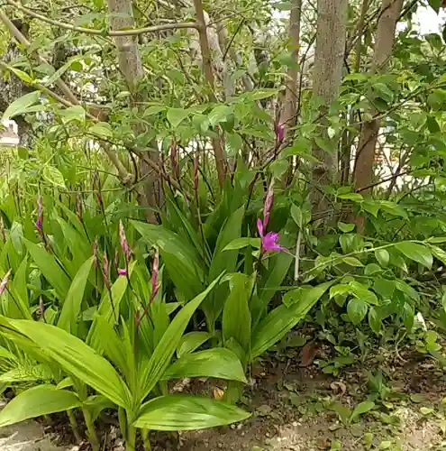 比佐豆知神社(三重県)