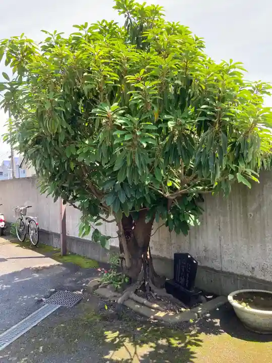 大経寺(神奈川県)