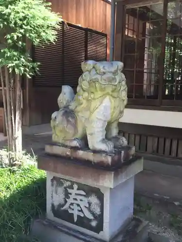 倭白山比咩神社（南出）の狛犬