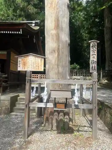 諏訪大社下社秋宮(長野県)
