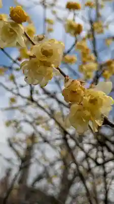 惠心院（恵心院）(京都府)