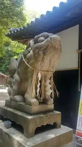 柳田八幡宮の狛犬