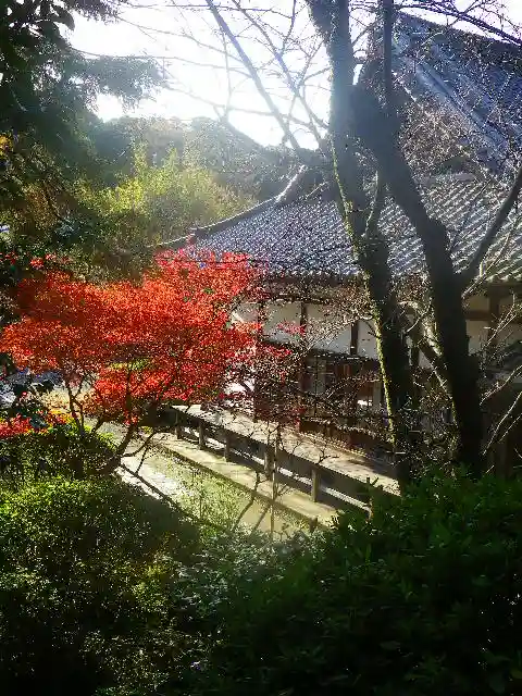 浄光明寺の自然