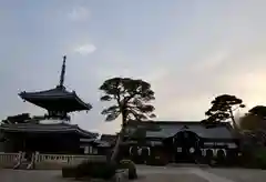 護国寺の建物その他