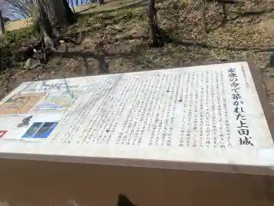眞田神社の{uncategorized: "未分類", other: "その他", undefined: "問題あり", building: "その他建物", grave: "お墓", sacred_gate: "鳥居", guardian: "狛犬", statue: "像", buddha: "仏像", history: "歴史", nature: "自然", garden: "庭園", animal: "動物", pagoda: "塔", temizu: "手水舎", mountain_gate: "山門・神門", sanctuary: "本殿・本堂", subordinate: "末社・摂社", art: "芸術", scenery: "景色", jizo: "地蔵", ema: "絵馬", goshuin: "御朱印", omikuji: "おみくじ", items: "授与品その他", amulet: "お守り", goshuincho: "御朱印帳", eats: "食事", festival: "お祭り", votive_dance: "神楽", shichigosan: "七五三参", wedding: "結婚式", experience: "体験その他", initially: "初詣", around: "周辺", anti_infection: "感染症対策"}