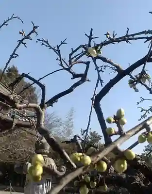 比佐豆知神社(三重県)