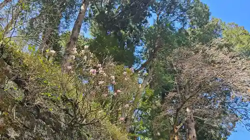 日光山輪王寺 大猷院(栃木県)