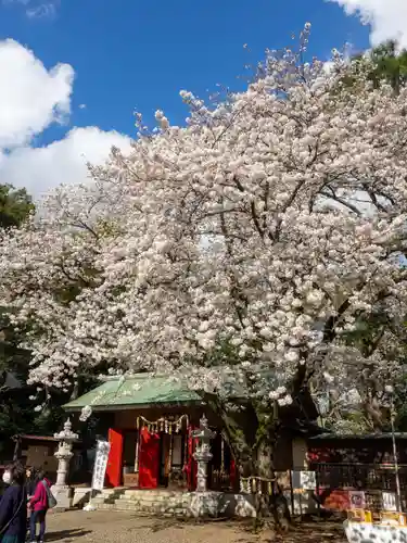 前原御嶽神社の本殿・本堂
