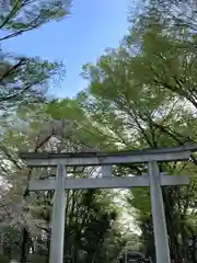 大國魂神社(東京都)