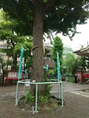 矢先稲荷神社(東京都)