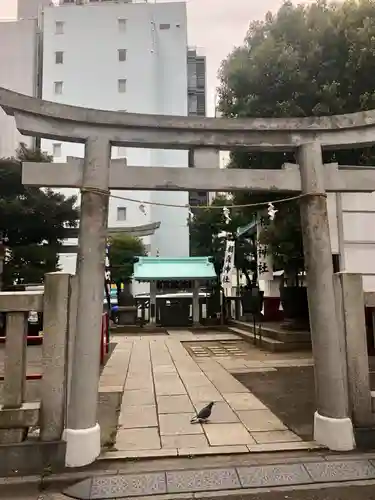 椙森神社の鳥居