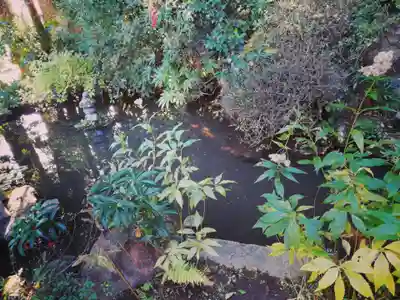 龍光院のその他建物