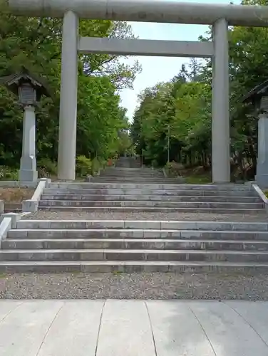 上川神社の鳥居