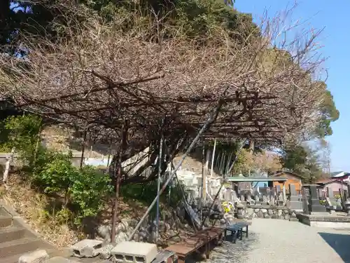 福泉寺(神奈川県)