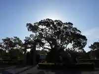 屋久島大社(鹿児島県)