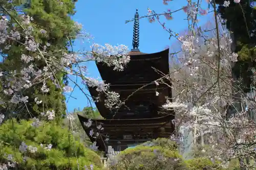 国宝 大法寺の塔