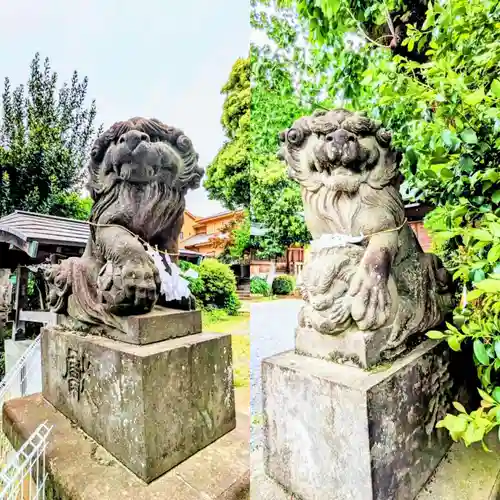 鳩ヶ谷氷川神社の狛犬