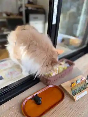 駒込妙義神社(東京都)