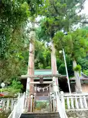 諏訪神社の鳥居