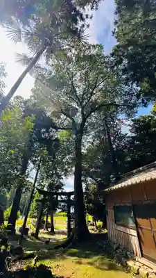 椎村神社(福井県)