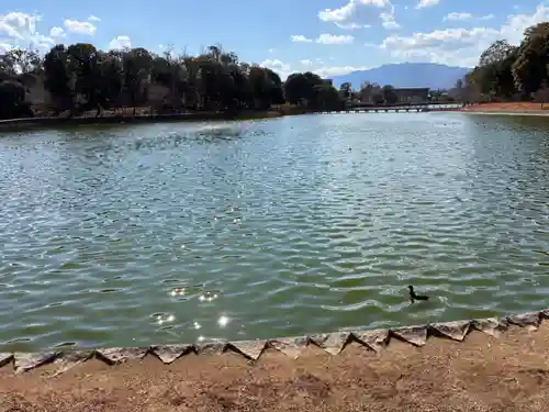長山稲荷社（橿原神宮末社）の自然