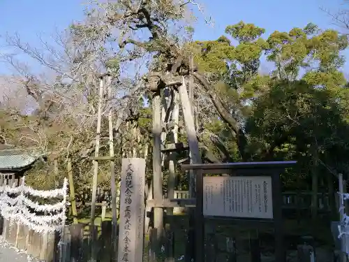 三嶋大社の庭園