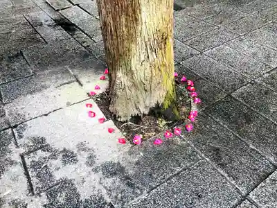 八幡朝見神社のその他建物