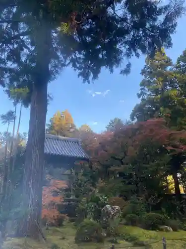 龍潭寺(静岡県)