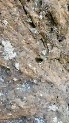 御岩神社の{uncategorized: "未分類", other: "その他", undefined: "問題あり", building: "その他建物", grave: "お墓", sacred_gate: "鳥居", guardian: "狛犬", statue: "像", buddha: "仏像", history: "歴史", nature: "自然", garden: "庭園", animal: "動物", pagoda: "塔", temizu: "手水舎", mountain_gate: "山門・神門", sanctuary: "本殿・本堂", subordinate: "末社・摂社", art: "芸術", scenery: "景色", jizo: "地蔵", ema: "絵馬", goshuin: "御朱印", omikuji: "おみくじ", items: "授与品その他", amulet: "お守り", goshuincho: "御朱印帳", eats: "食事", festival: "お祭り", votive_dance: "神楽", shichigosan: "七五三参", wedding: "結婚式", experience: "体験その他", initially: "初詣", around: "周辺", anti_infection: "感染症対策"}