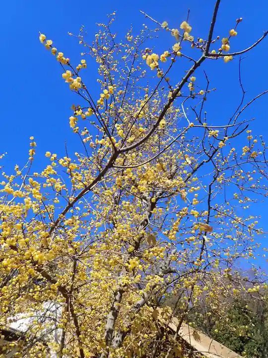 横浜 西方寺(神奈川県)