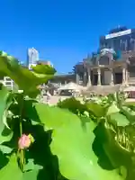 築地本願寺(本願寺築地別院)(東京都)