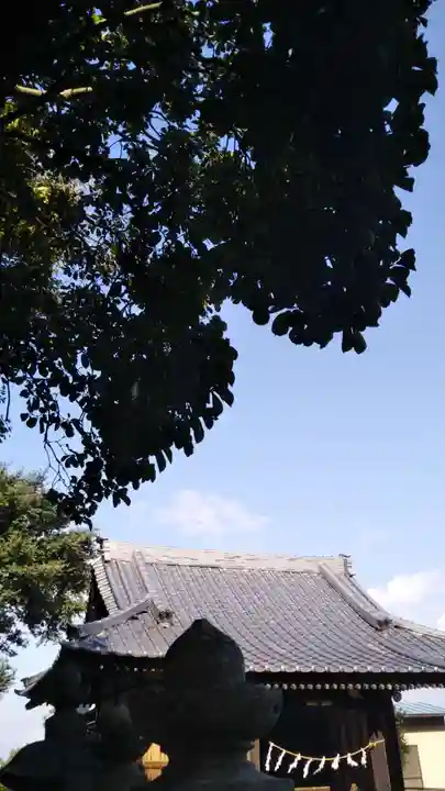 日枝神社の本殿・本堂